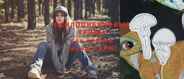 героин Бородино